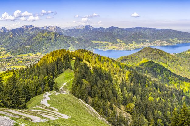 L’IMPATTO DELL’INFLAZIONE SUL BIOLOGICO IN GERMANIA