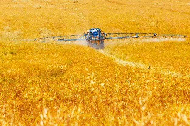 USI SOSTENIBILI, GIRO DI VITE SUGLI AGROFARMACI