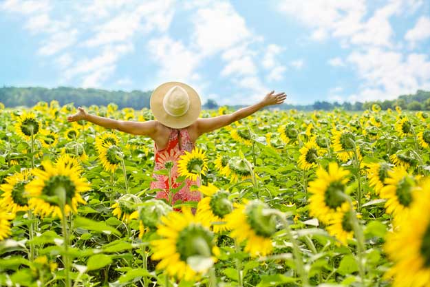 ALL’ITALIA IL RECORD DELL’INCIDENZA DEL BIO