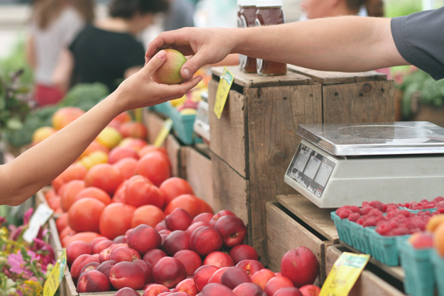 CRESCONO SUPERFICI E OPERATORI, FRENA IL CONSUMO