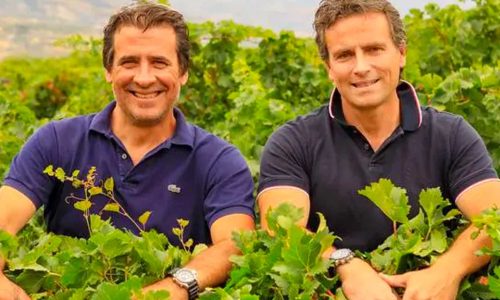 L’AZIENDA DI GIOVANNA, STORICA REALTÀ SICILIANA CERTIFICATA DA SUOLO E SALUTE, ARRIVA A 25 ANNI DI VINI BIO