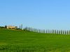 OK DI BRUXELLES AGLI STANZIAMENTI DELLA REGIONE TOSCANA PER IL BIO