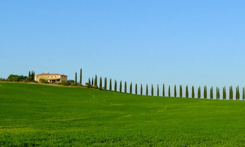 OK DI BRUXELLES AGLI STANZIAMENTI DELLA REGIONE TOSCANA PER IL BIO