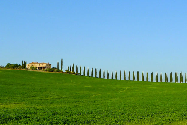 OK DI BRUXELLES AGLI STANZIAMENTI DELLA REGIONE TOSCANA PER IL BIO