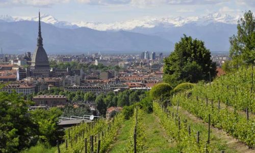 PIEMONTE, 2,5 MILIONI PER AGRICOLTURA BIO E INTEGRATA