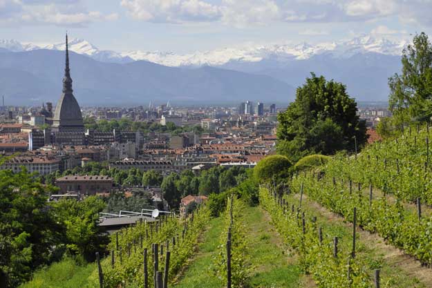 PIEMONTE, 2,5 MILIONI PER AGRICOLTURA BIO E INTEGRATA