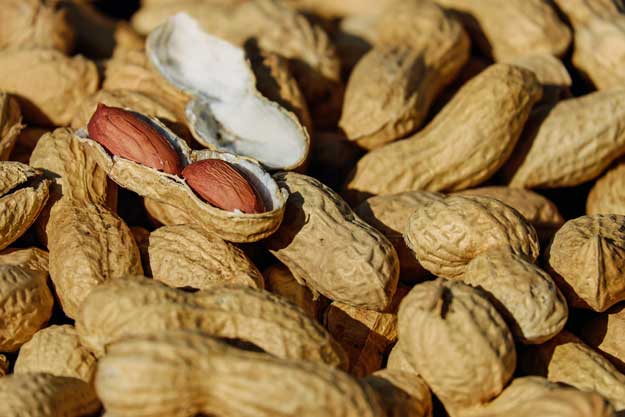 IN AUSTRIA I PIONIERI DEL BIO INVESTONO IN ARACHIDI