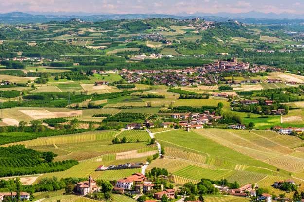 PIATTAFORMA “SERIA”: DATI E SERVIZI PER IL BIO PIEMONTESE