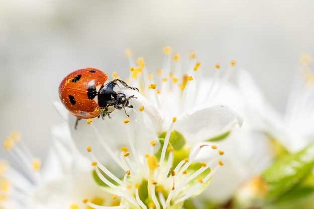 BIO, GODIAMOCI I DATI DEL 2021