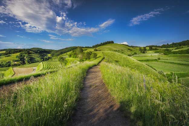 CAMBIARE PARADIGMA AGRICOLO PER CONTRASTARE LA CRISI CLIMATICA