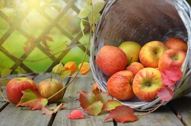 NEL PANIERE ISTAT ENTRANO ANCHE L’ORTOFRUTTA BIO