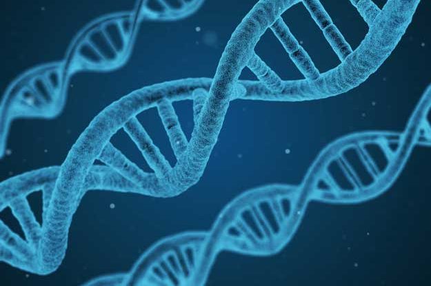 ANAPROBIO: «LE TEA STIANO LONTANE DAL BIOLOGICO»