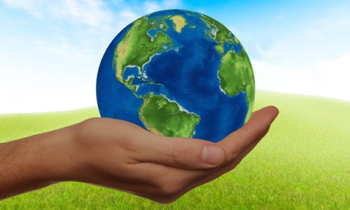 IL PIANO D’AZIONE EUROPEO SUL BIO E LE AZIONI DI PROMOZIONE