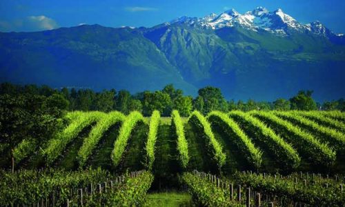 IL PROSECCO PIACE SE È SOSTENIBILE
