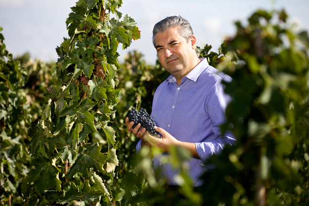 LA VOGLIA DI SPERIMENTARE SALVA I VINI DI QUALITÀ DAL CLIMATE CHANGE