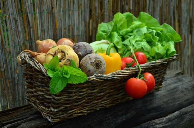 PROMOZIONE DEL BIO, ACCORDO TRA AIAB E ORTOFRUTTA ITALIA