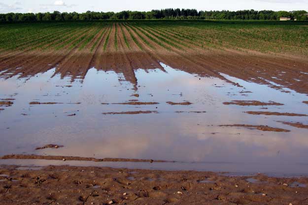 SERVE UN TAVOLO DI CRISI PER L’AGRICOLTURA BIO IN EMILIA-ROMAGNA