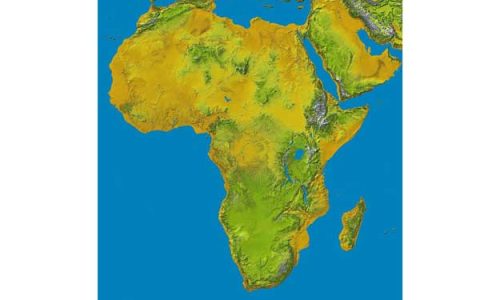 UN PIANO PER FAR CRESCERE IL BIOLOGICO IN AFRICA