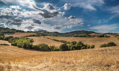 UN QUINTO DELL’AGRICOLTURA ITALIANA È BIO