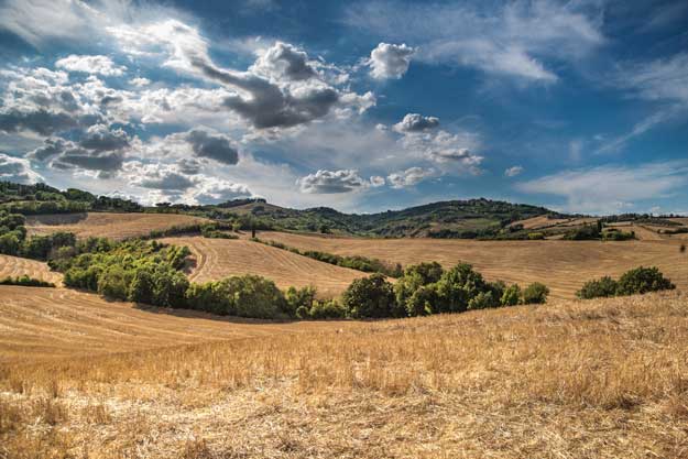 UN QUINTO DELL’AGRICOLTURA ITALIANA È BIO