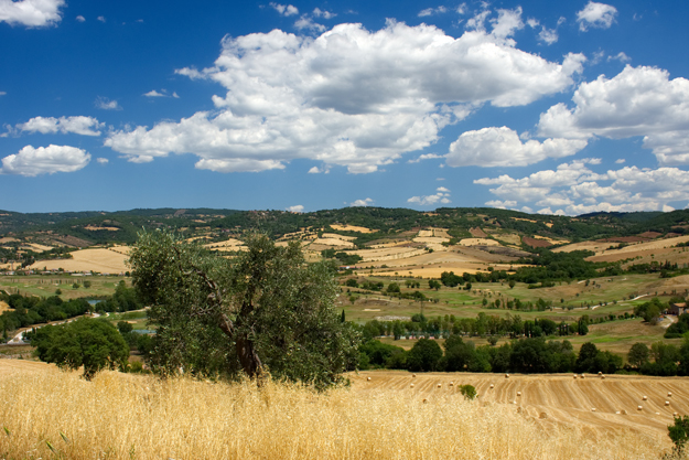 ARRIVA IL RICONOSCIMENTO PER IL DISTRETTO BIOLOGICO DELLA MAREMMA