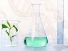 GREENWASHING E NUOVI OGM, DUE MINACCE PER IL BIO