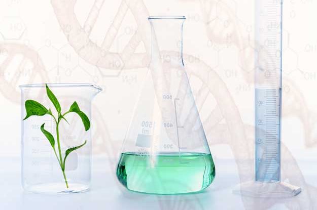 GREENWASHING E NUOVI OGM, DUE MINACCE PER IL BIO