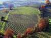 IN EMILIA-ROMAGNA LA PRIMA LEGGE SUI DISTRETTI BIO