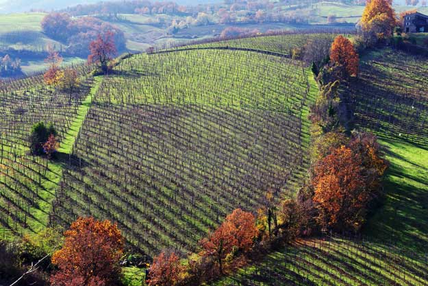 IN EMILIA-ROMAGNA LA PRIMA LEGGE SUI DISTRETTI BIO