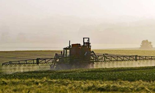 TAGLIO AGLI AGROFARMACI, LE RESISTENZE DEGLI STATI MEMBRI