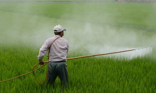 ADDIO ALL’USO SOSTENIBILE DEI PESTICIDI