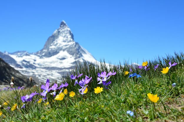 ACCELERARE LA TRANSIZIONE ECOLOGICA, L’OBIETTIVO DEL PARTENARIATO EUROPEO AGROECOLOGY