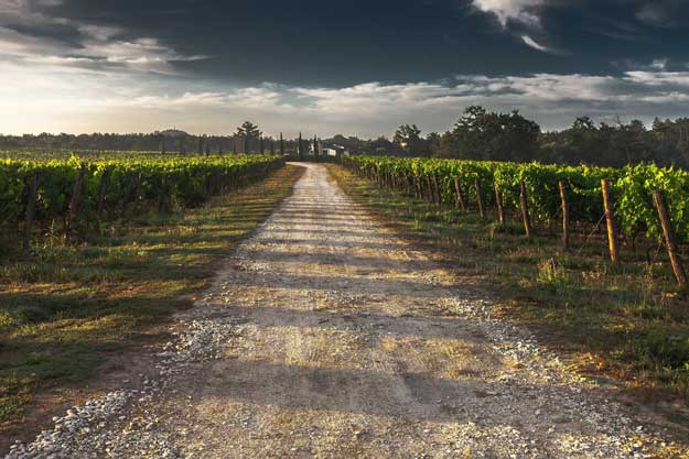 VALPOLICELLA SEMPRE PIÙ “GREEN”