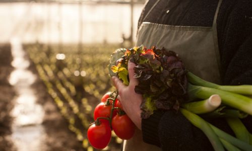 DODICI MILIONI PER LE FILIERE E I DISTRETTI BIO