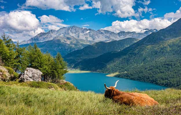 IN SVIZZERA IL BIOLOGICO CONTINUA A GUADAGNARE TERRENO