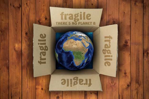 GREENWASHING E CARBON CREDIT, UNA DIRETTIVA PER FARE CHIAREZZA