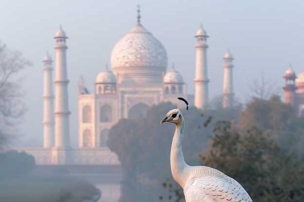 L’INDIA È LA NUOVA TERRA PROMESSA DEL BIO?