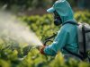 NO DELL’EUROPARLAMENTO ALLA TOLLERANZA DI RESIDUI DI PESTICIDI NEI CIBI IMPORTATI