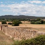 AGRICOLTURA BIOLOGICA IN PUGLIA: BOOM DI CONSUMI E SUPERFICI COLTIVATE VERSO L’OBIETTIVO UE 2030