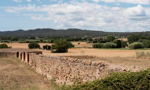 AGRICOLTURA BIOLOGICA IN PUGLIA: BOOM DI CONSUMI E SUPERFICI COLTIVATE VERSO L’OBIETTIVO UE 2030