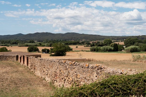AGRICOLTURA BIOLOGICA IN PUGLIA: BOOM DI CONSUMI E SUPERFICI COLTIVATE VERSO L’OBIETTIVO UE 2030