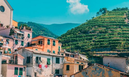 BIO-DISTRETTO CILENTO: MODELLO DI SOSTENIBILITÀ NEL RAPPORTO CREA DEL PROGETTO SYSORG