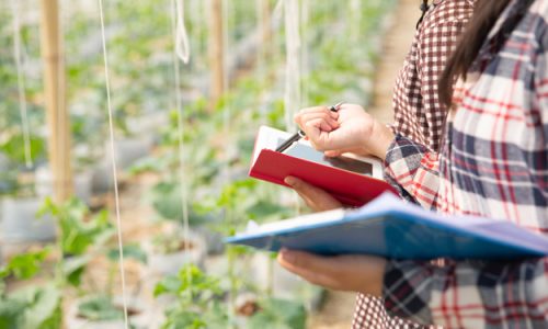CORSO PER TECNICI ISPETTORI DEL BIOLOGICO ALL’UNIVERSITÀ DI FOGGIA: 80 GIOVANI FORMATI PER IL LAVORO NEL SETTORE AGROALIMENTARE