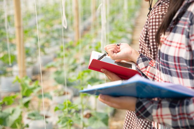 CORSO PER TECNICI ISPETTORI DEL BIOLOGICO ALL’UNIVERSITÀ DI FOGGIA: 80 GIOVANI FORMATI PER IL LAVORO NEL SETTORE AGROALIMENTARE