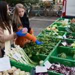 PRODOTTI BIOLOGICI: ITALIANI SEMPRE PIÙ CONSUMATORI MA POCO INFORMATI