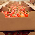 SEMPLIFICATA LA PAC PER SEMPLIFICARE LA VITA AGLI AGRICOLTORI