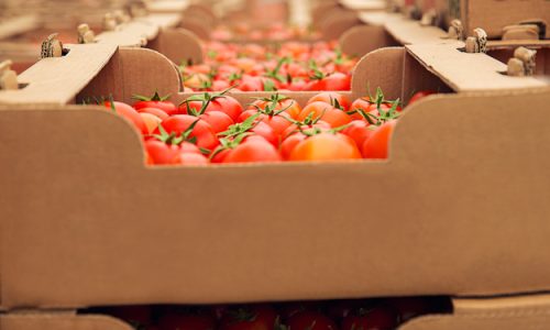 SEMPLIFICATA LA PAC PER SEMPLIFICARE LA VITA AGLI AGRICOLTORI