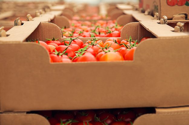 SEMPLIFICATA LA PAC PER SEMPLIFICARE LA VITA AGLI AGRICOLTORI