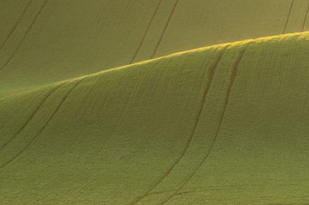AGRICOLTURA SOCIALE IN UMBRIA: SEI BIO AS, IL PROGETTO AIAB PER L’INCLUSIONE E LA FORMAZIONE NEI CAMPI BIOLOGICI