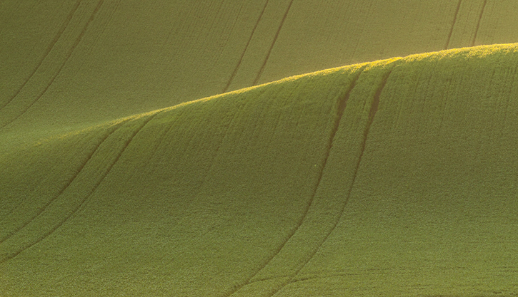 AGRICOLTURA SOCIALE IN UMBRIA: SEI BIO AS, IL PROGETTO AIAB PER L’INCLUSIONE E LA FORMAZIONE NEI CAMPI BIOLOGICI